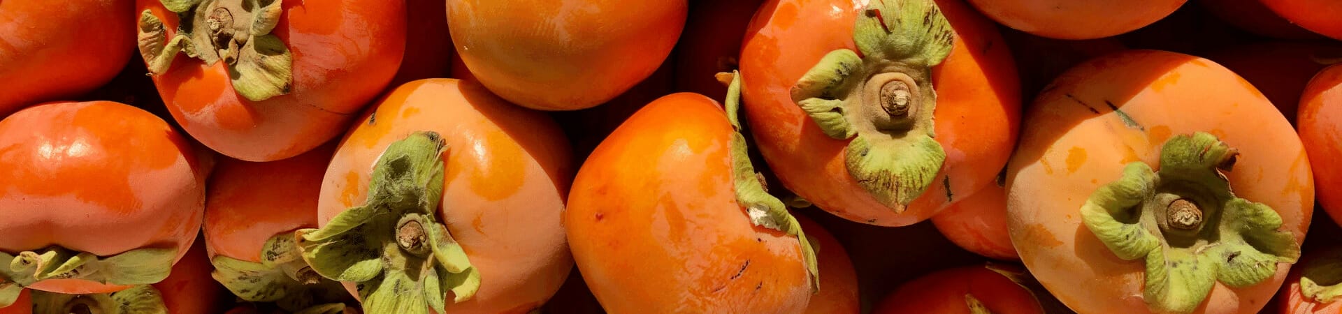 fertilizer for persimmon trees 1