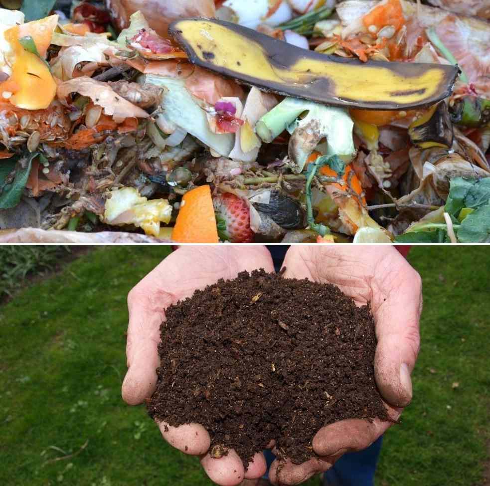 organic compost for vegetable garden 1