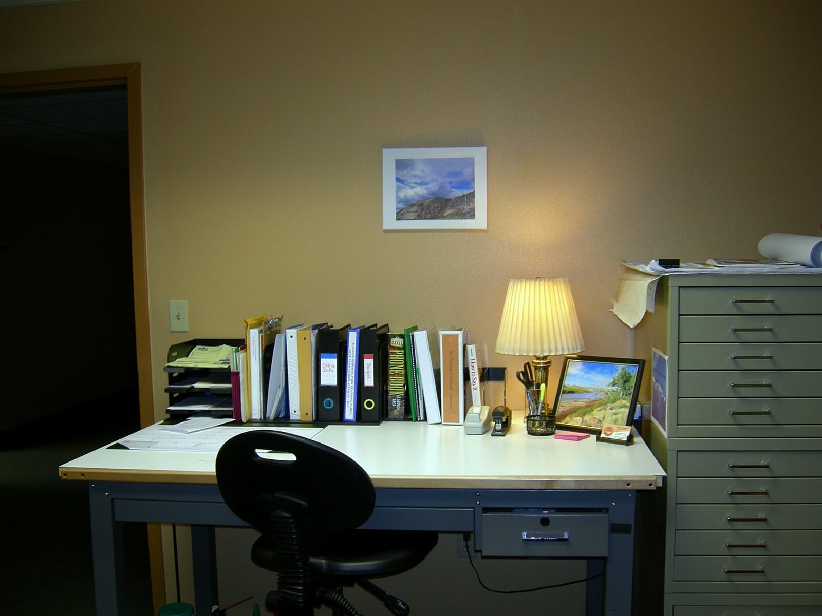 plant for office with no windows 1