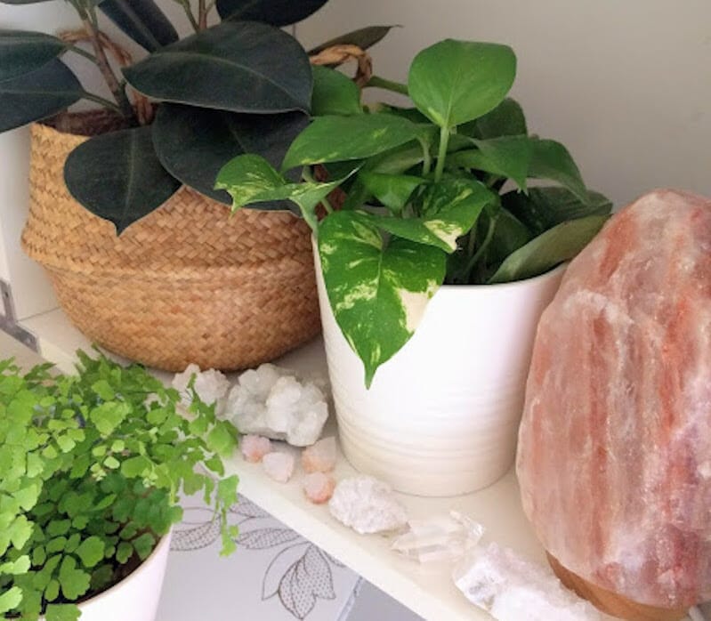 crystals for plants 1