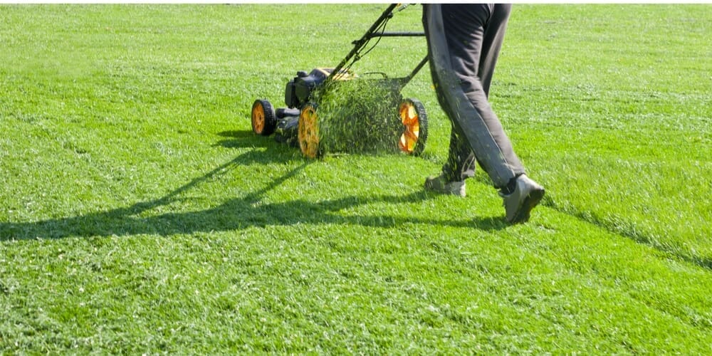 lawn mower for bermuda grass 1