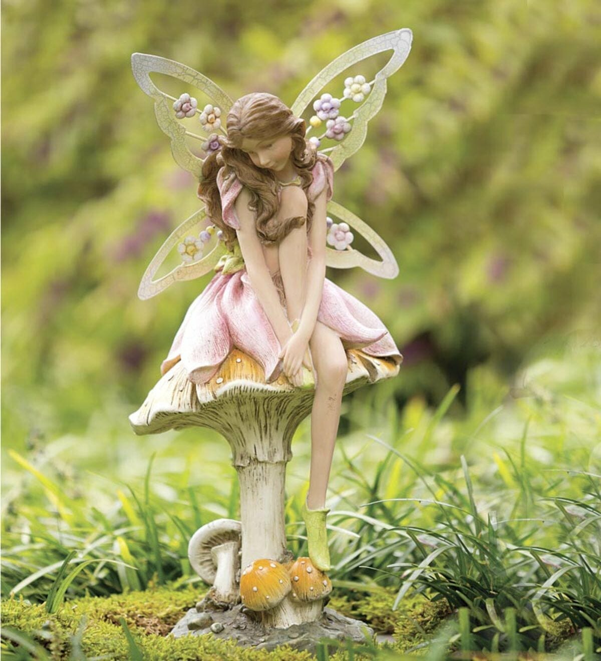 plants for fairy garden 1