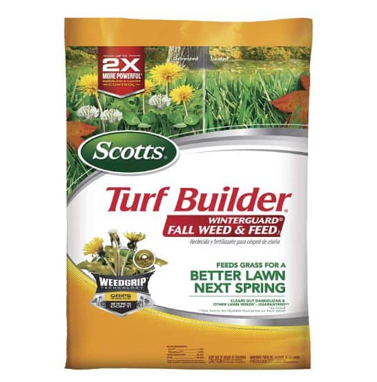 winter fertilizer for st augustine grass 2