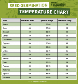 temperature for grass seeds to germinate 1