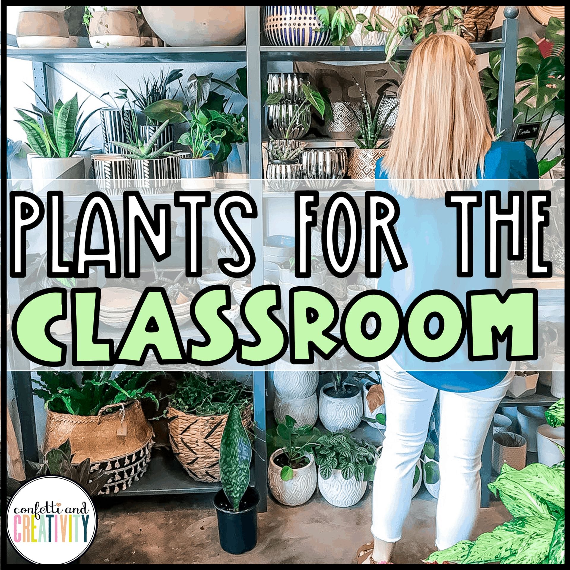 plants for classroom 2