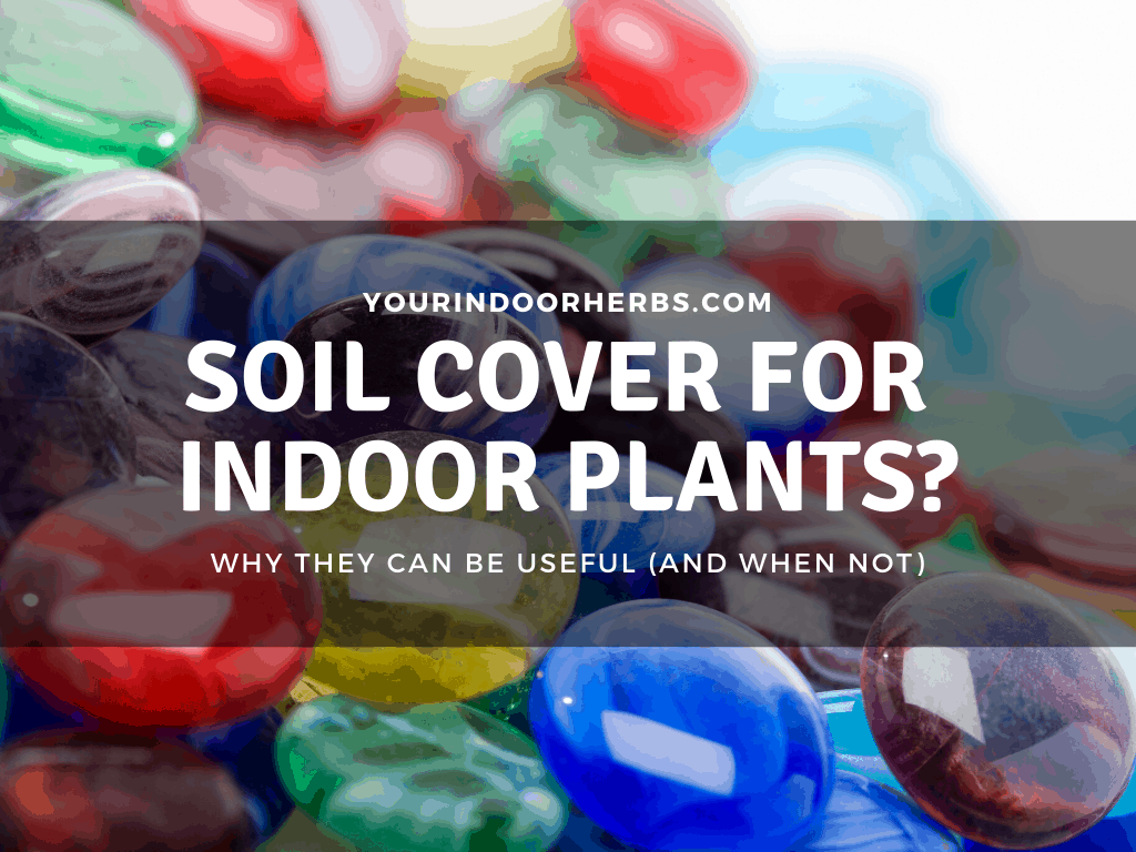 soil cover for indoor plants 2