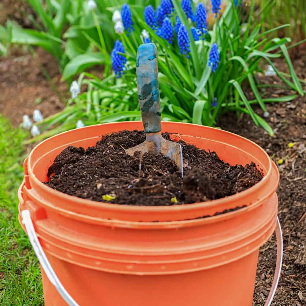 fertilizer for spinach 1