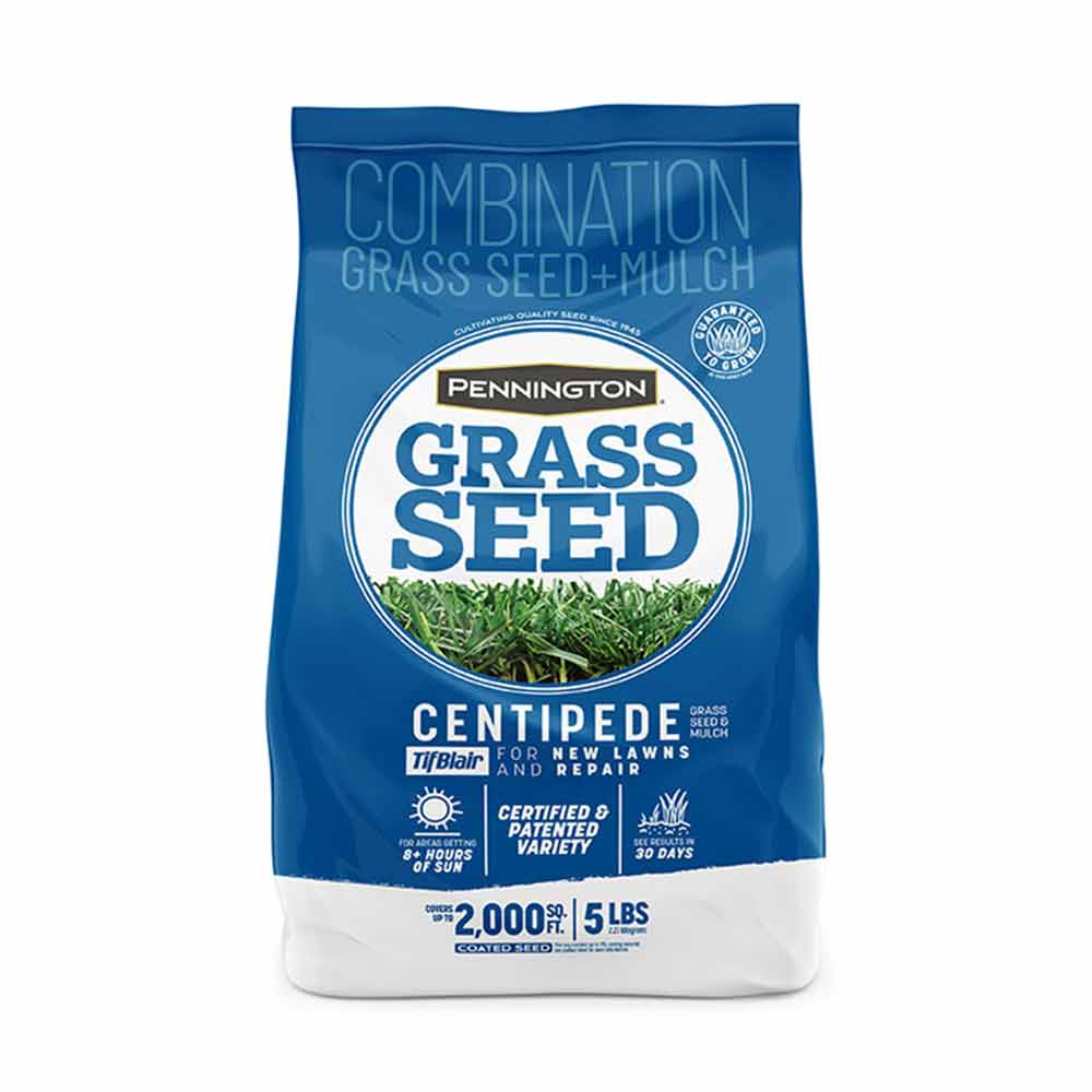 10 Best Centipede Grass Seed In 2023 The Wrench Finder