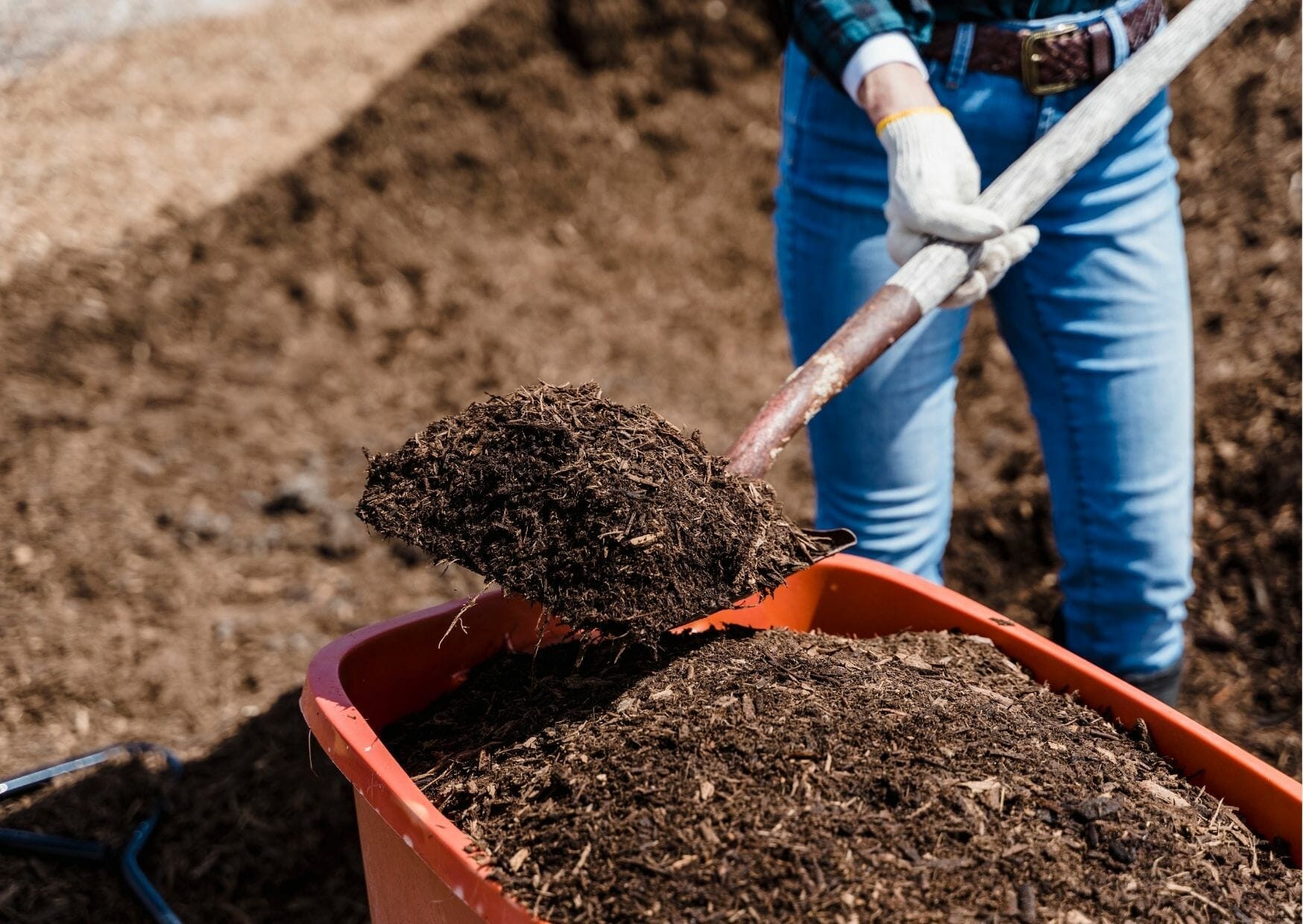 10 Best Compost For Lawn In 2023 The Wrench Finder