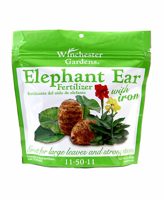 fertilizer for elephant ears 2