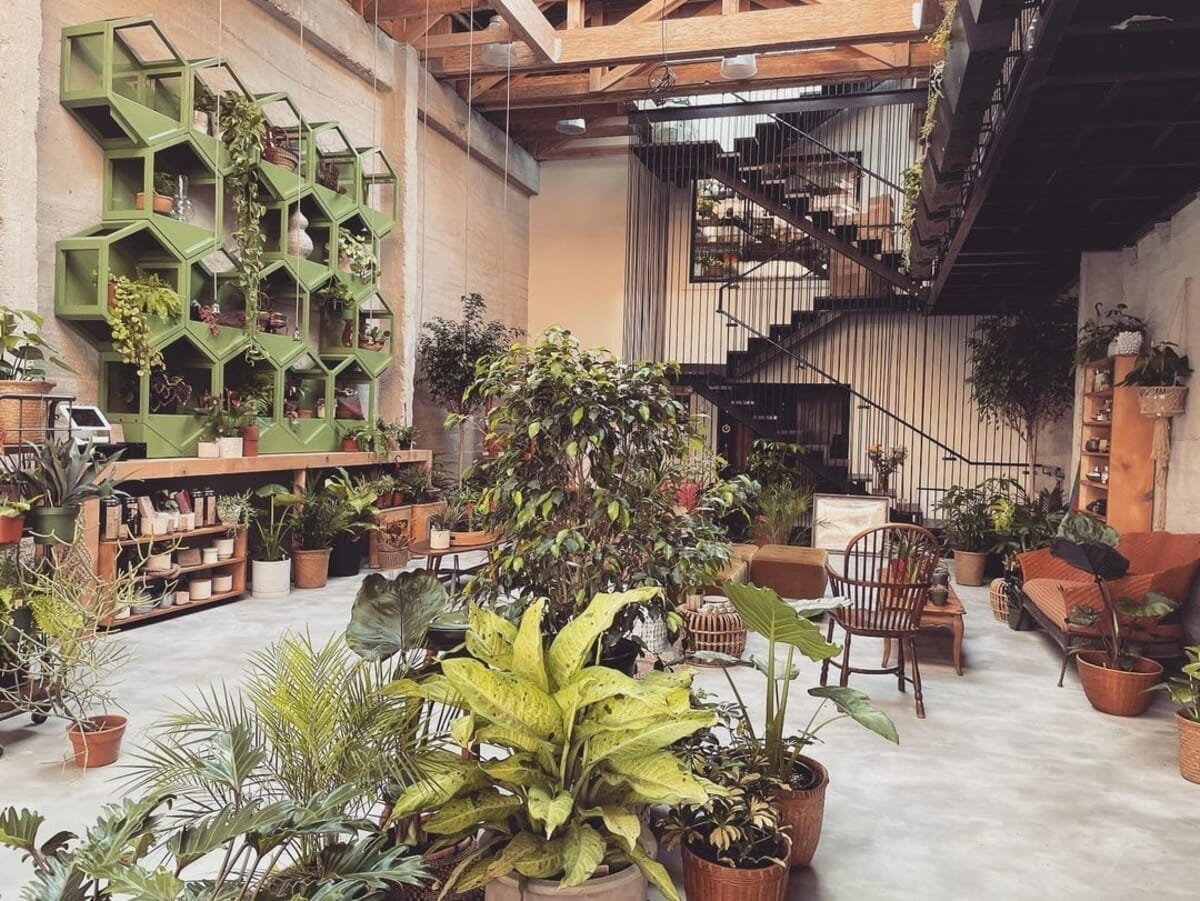 plant store sf 1