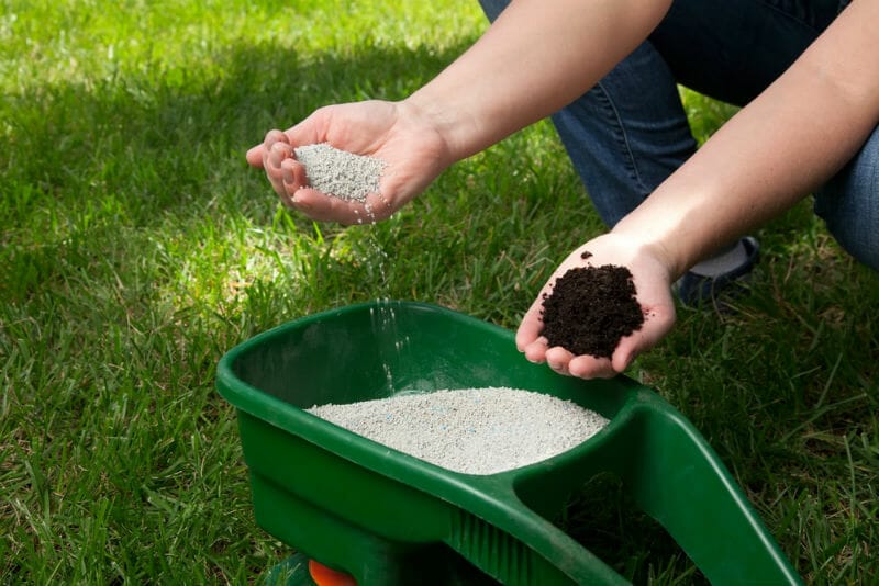 winter fertilizer for colorado lawns 1