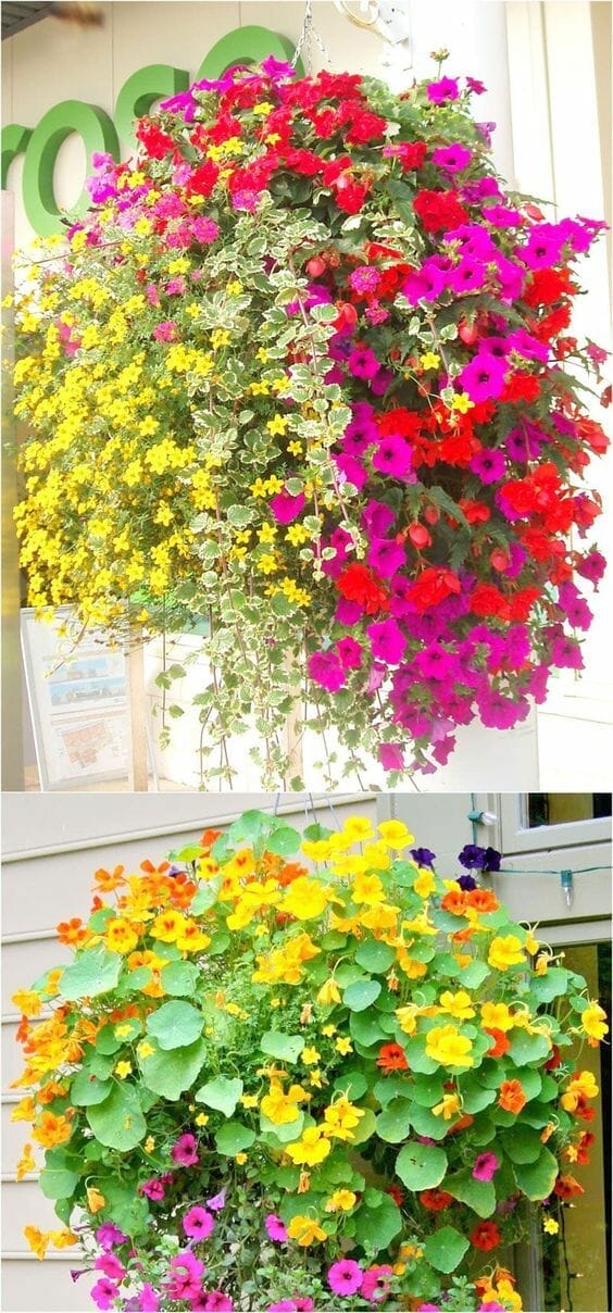fertilizer for hanging baskets 1
