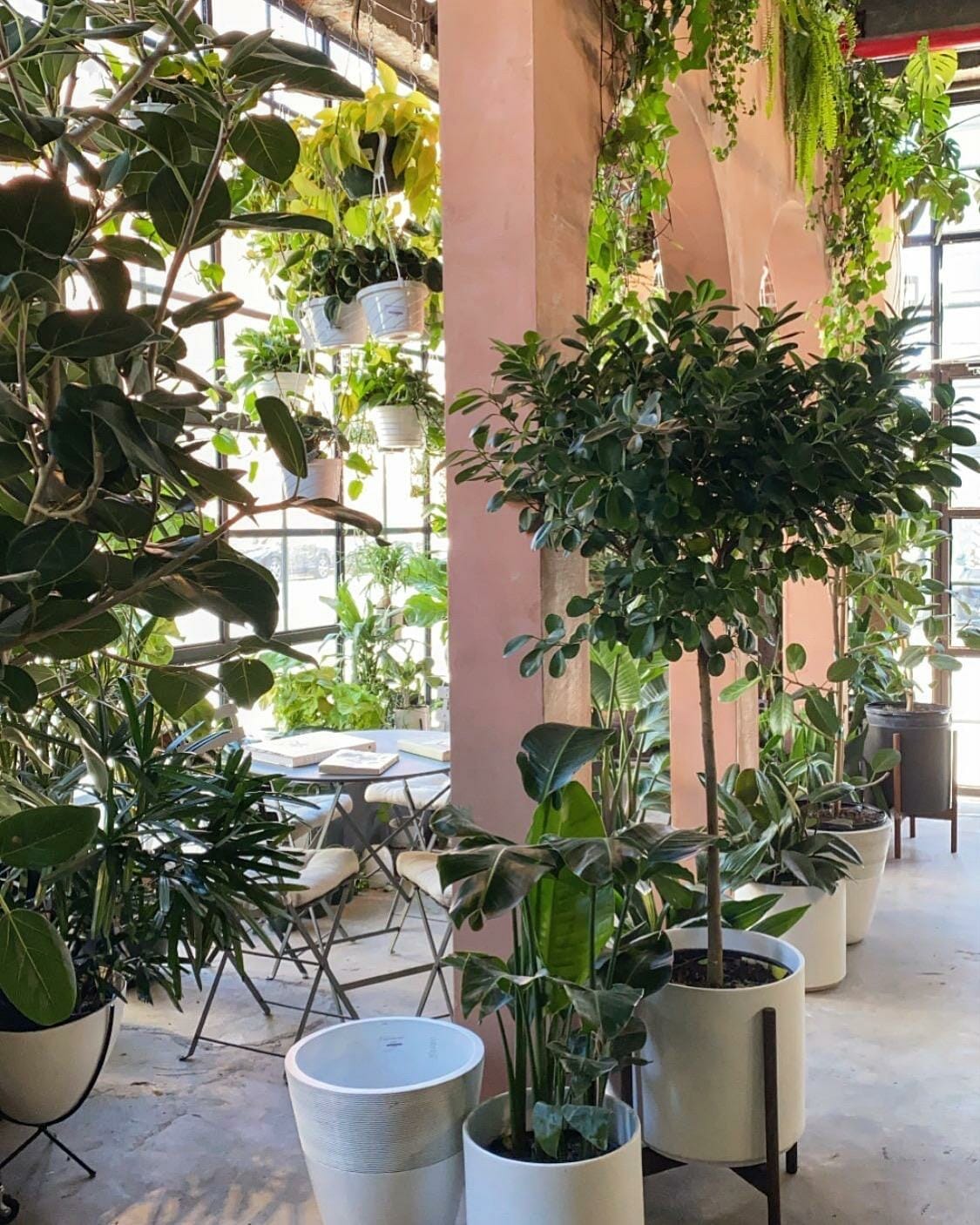 plant nursery brooklyn 2