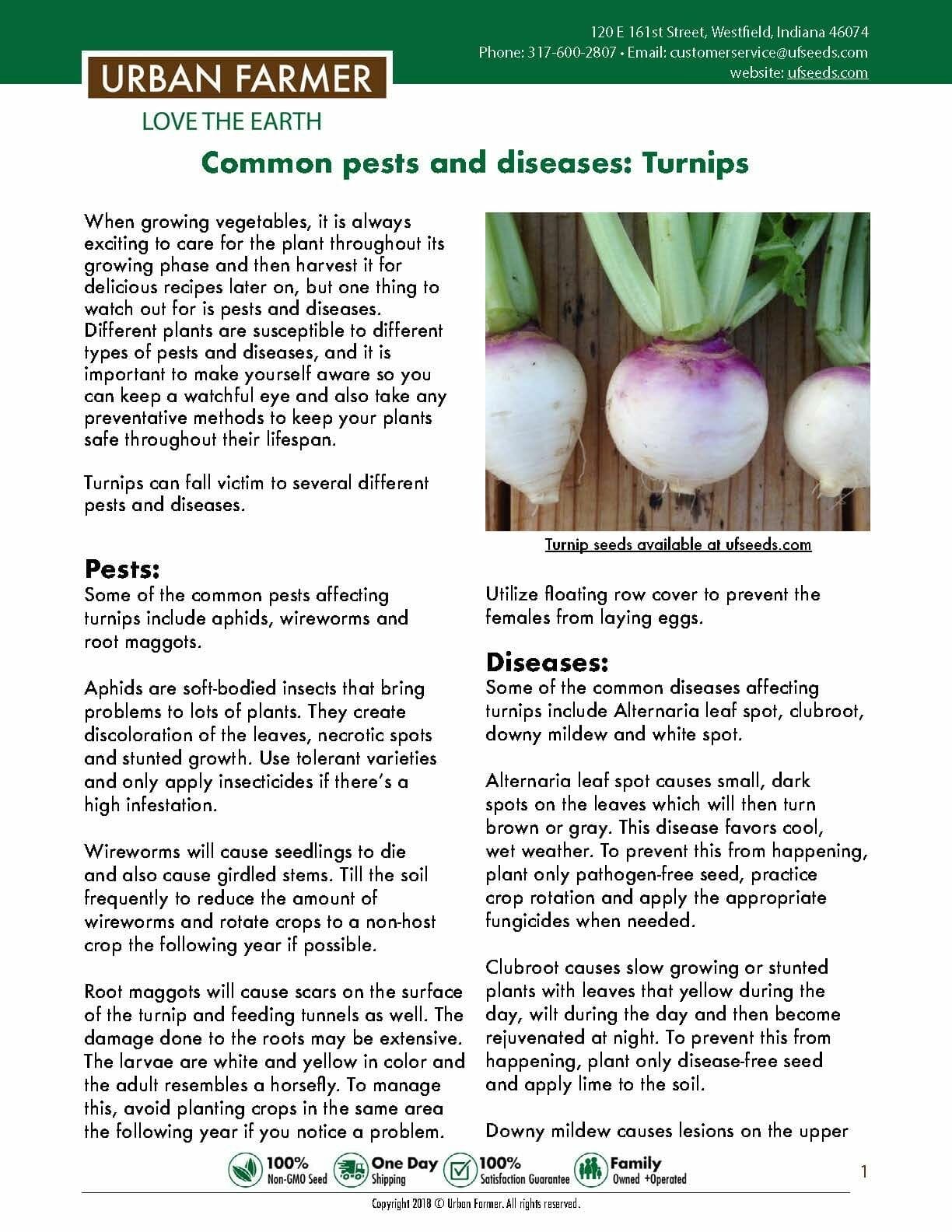 fertilizer for turnip greens 2