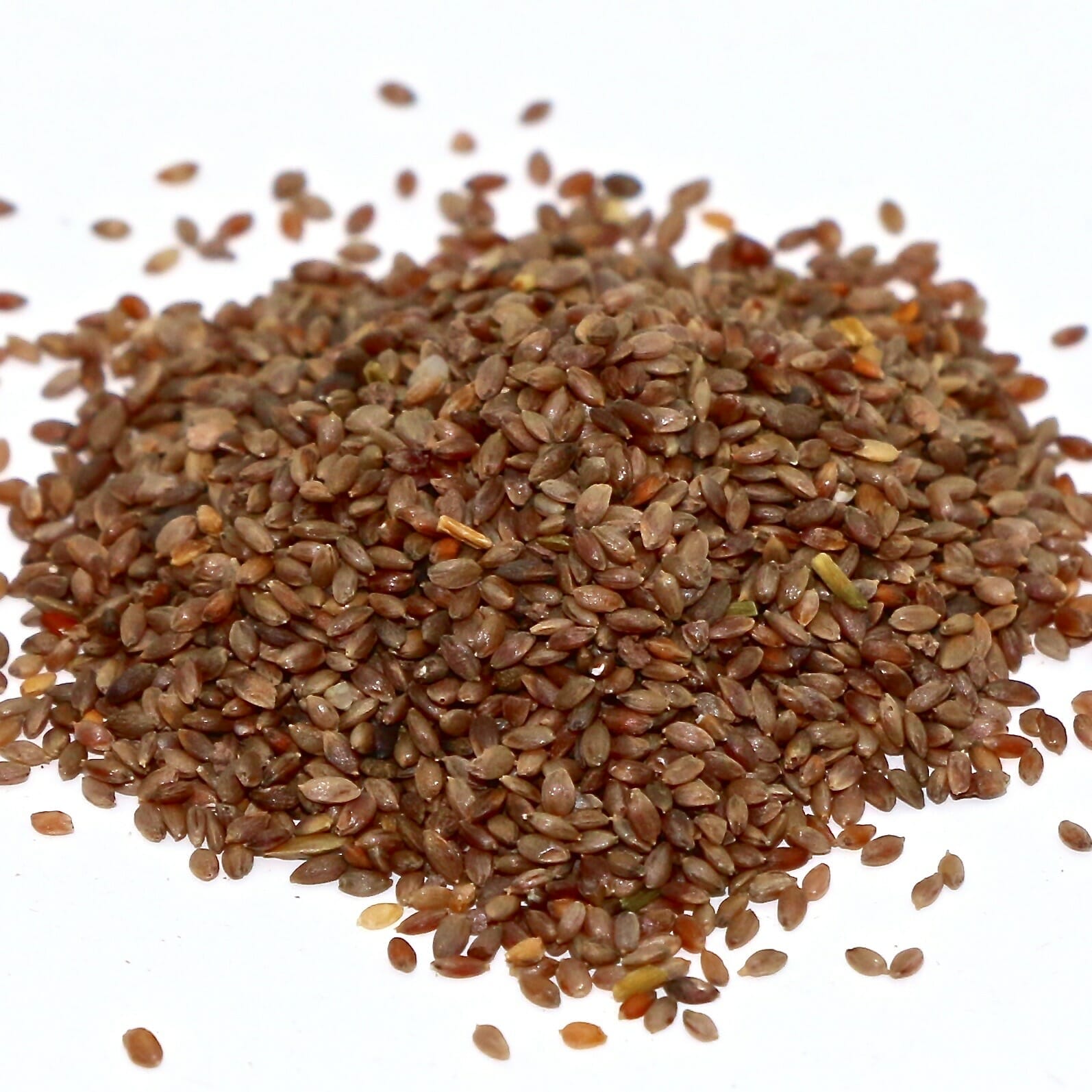 bermuda grass seed for oklahoma 1