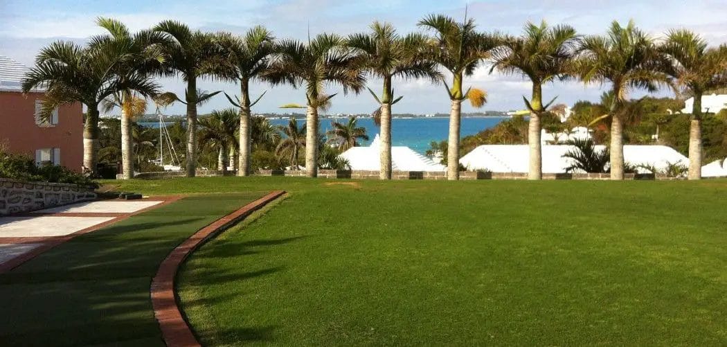 lawn mower for bermuda grass 2