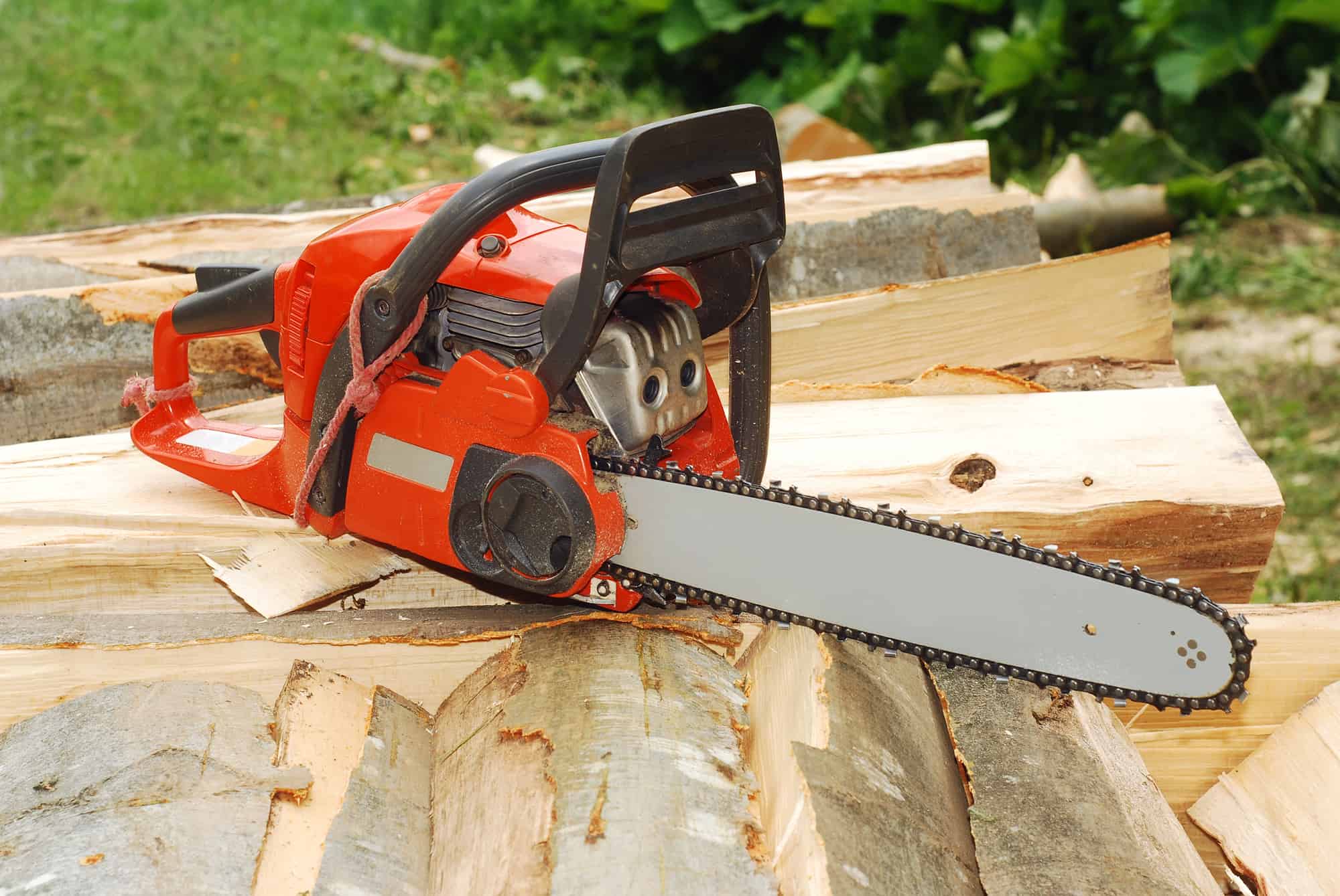 small chainsaw for a woman 1