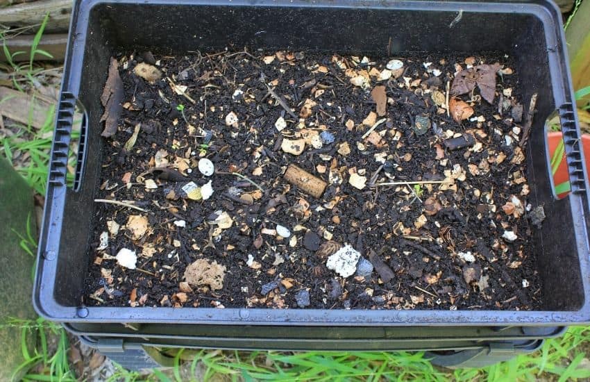 compost for a vegetable garden 1