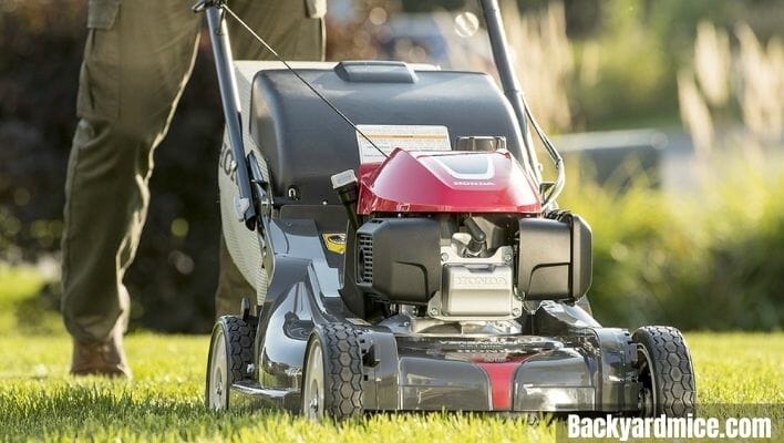 lawn mower for tall person 1