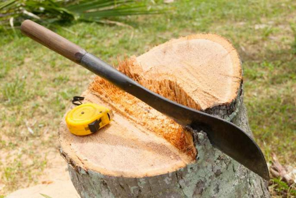 10 Best Machete For Yard Work In 2023 The Wrench Finder