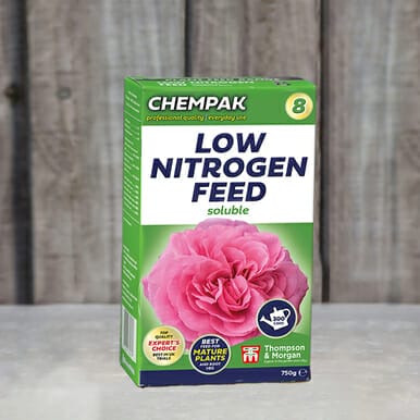 organic fertilizer for dahlias 1