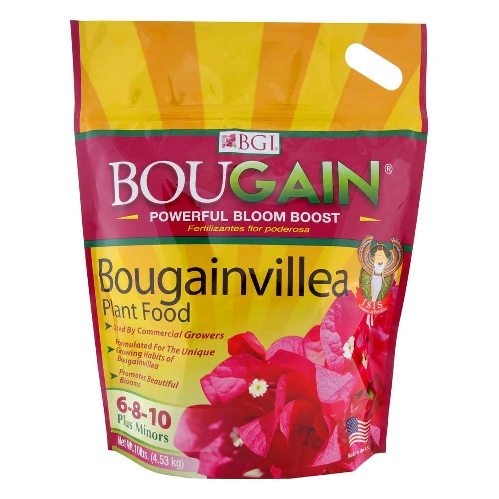 fertilizer for bougainvillea 1