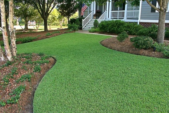 lawn mower for zoysia 2