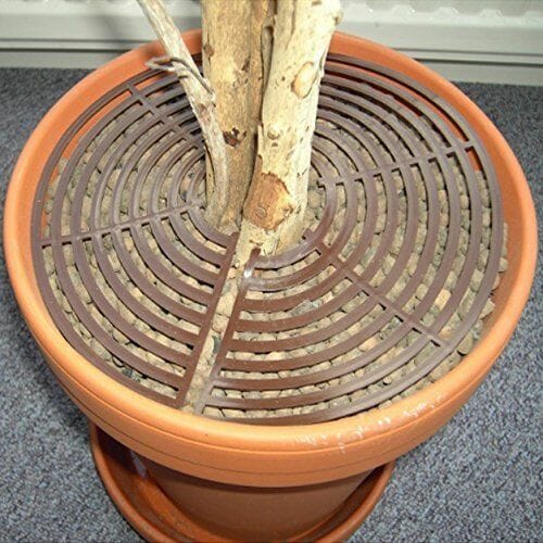 soil cover for indoor plants 1