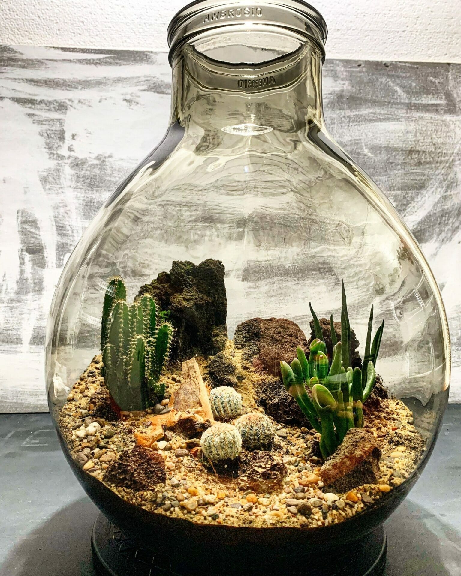 open terrarium plants 1