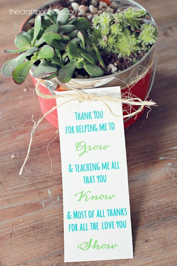 plants for teacher gifts 2
