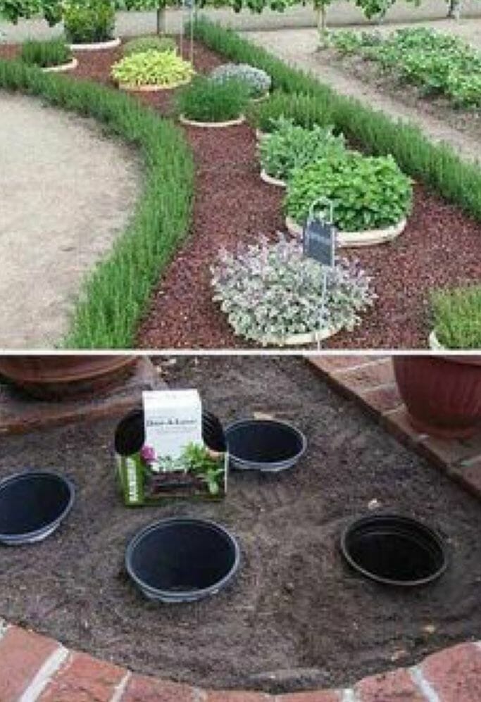 mulch for outdoor potted plants 2