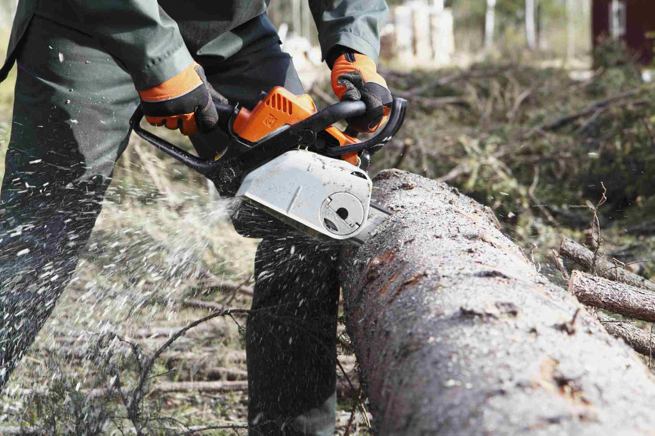 chainsaw for tree trimming 1