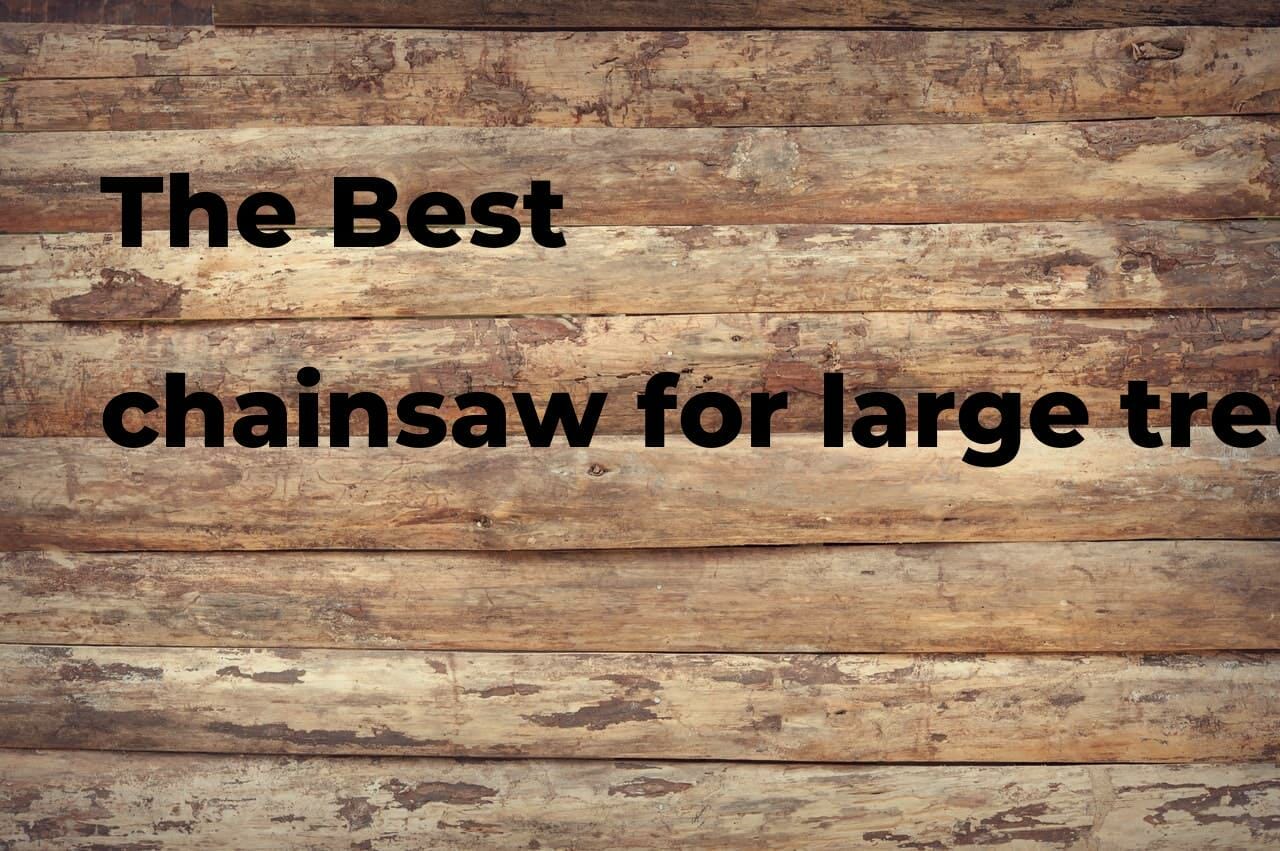 chainsaw for large trees 2