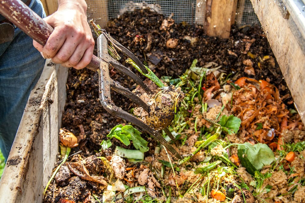 organic compost for vegetable garden 2