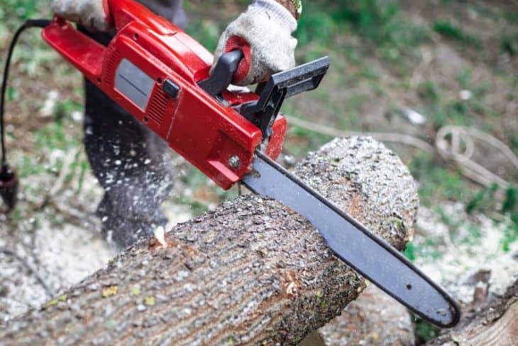chainsaw for firewood cutting 2