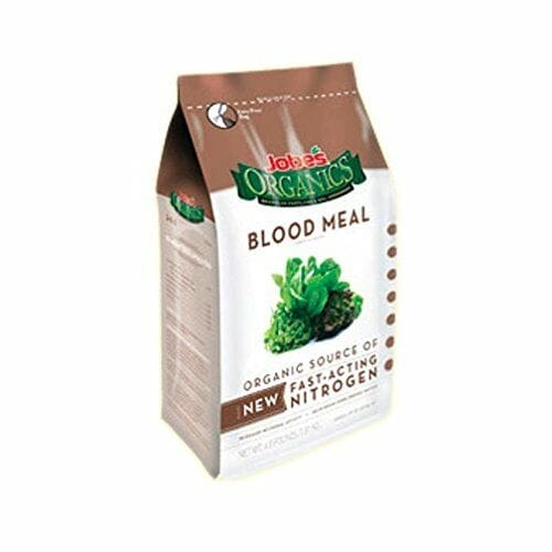 fertilizer for pansies 1