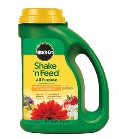 fertilizer for hoya plants 2