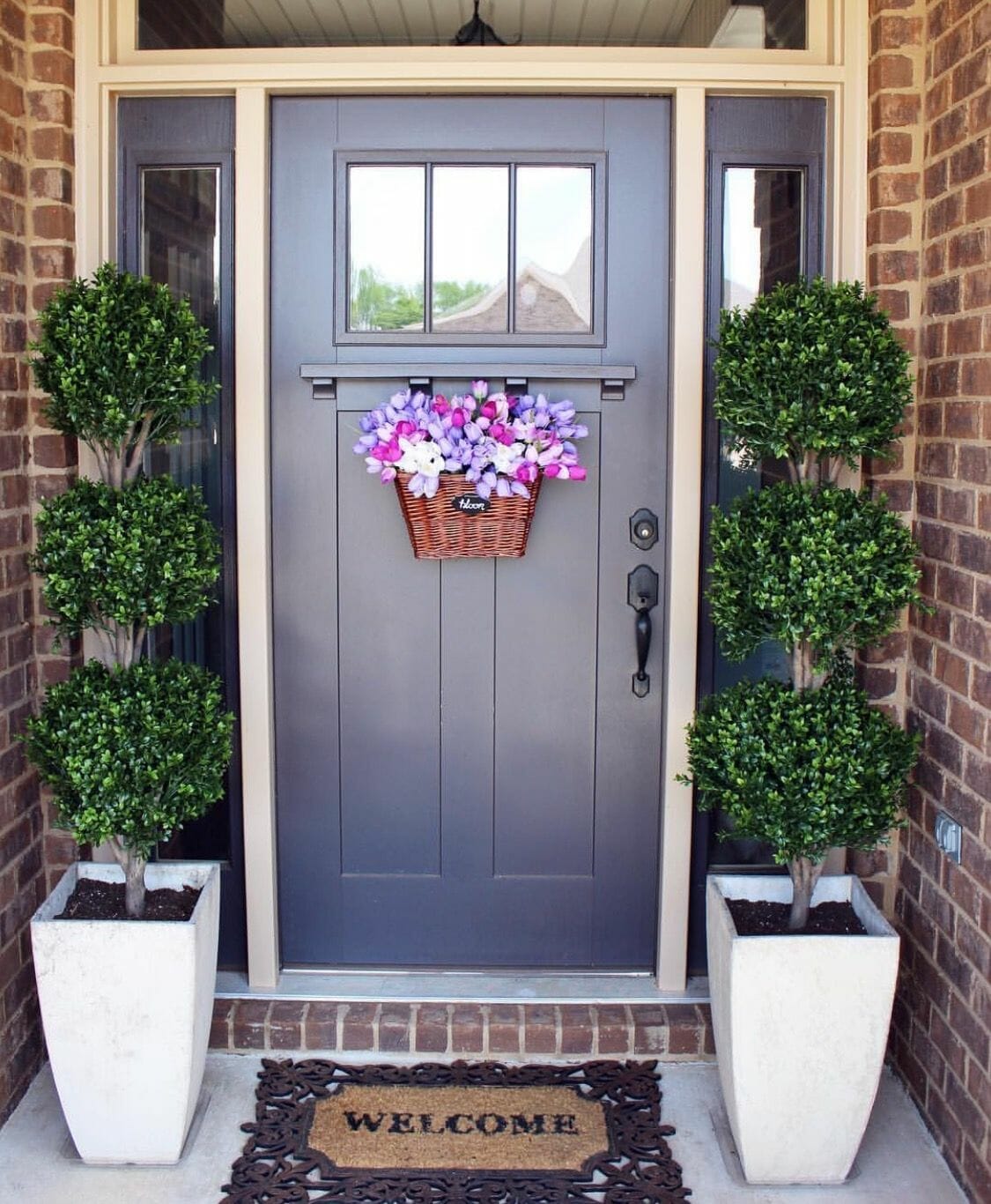 plants for front door 1