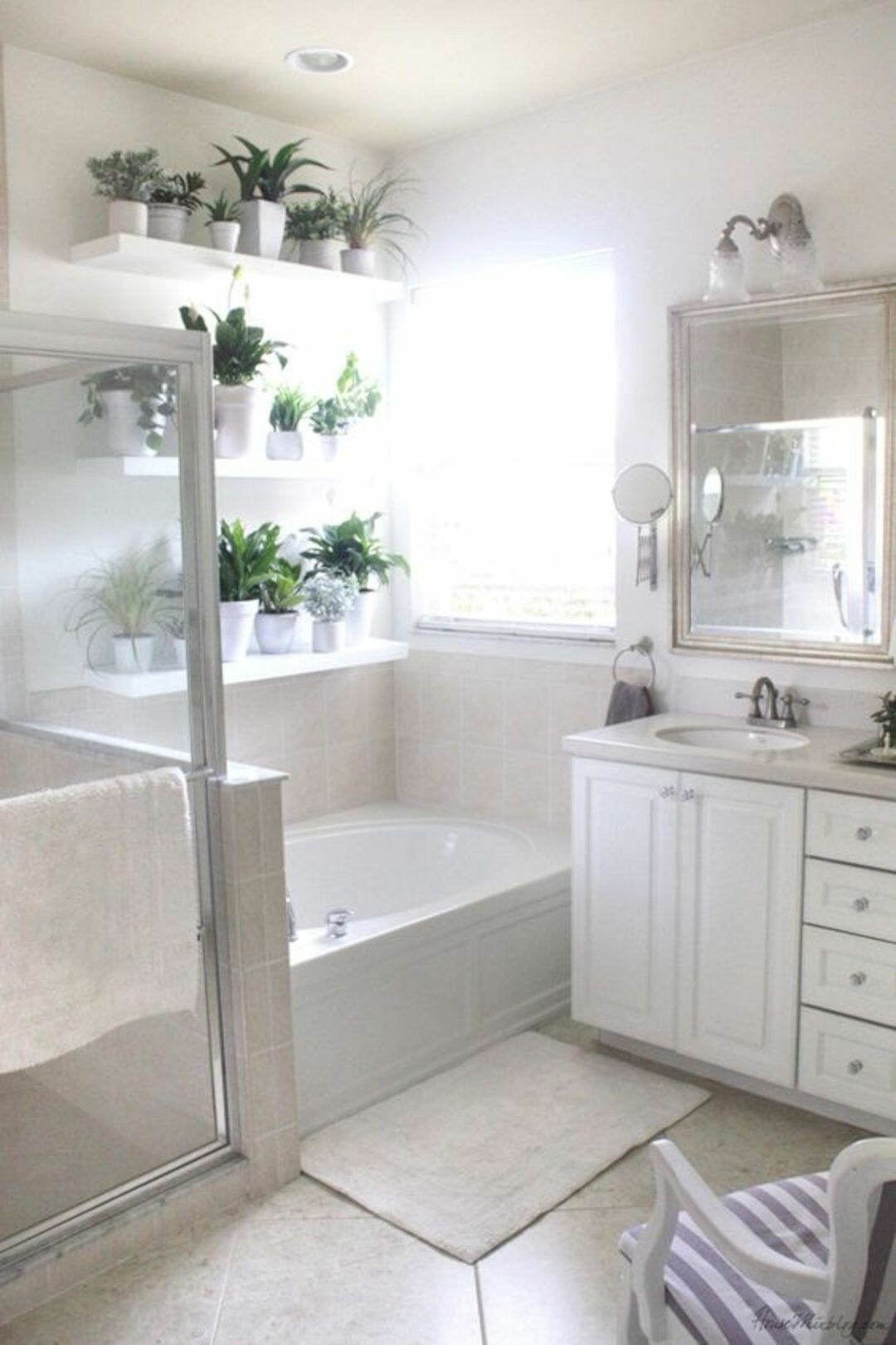 plants for bathroom with no window 1