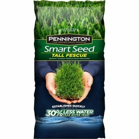 fall grass seed for northeast 1