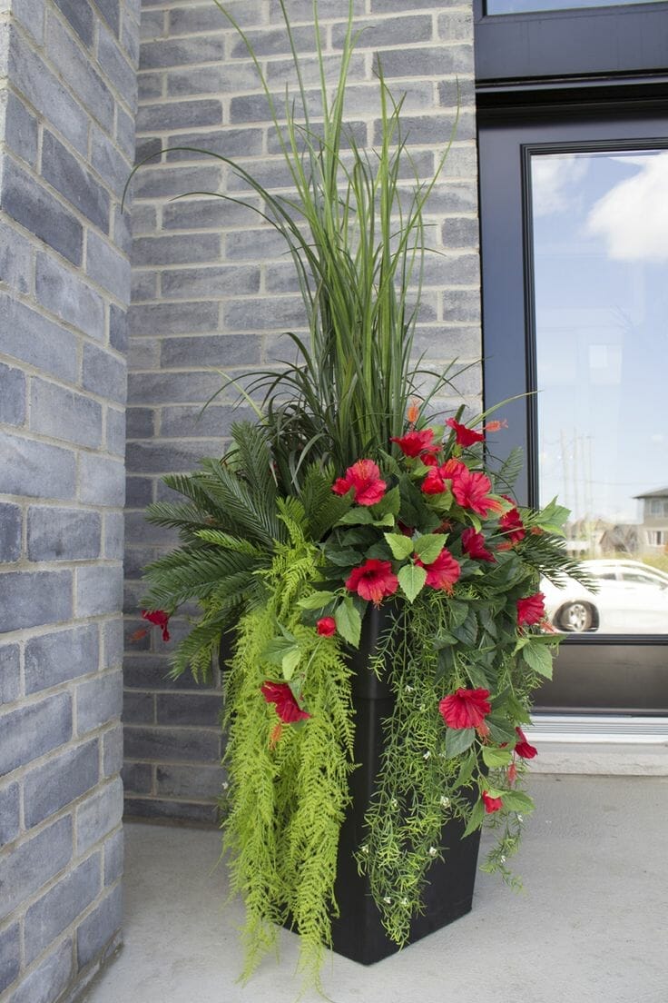 outdoor plants for chicago 2