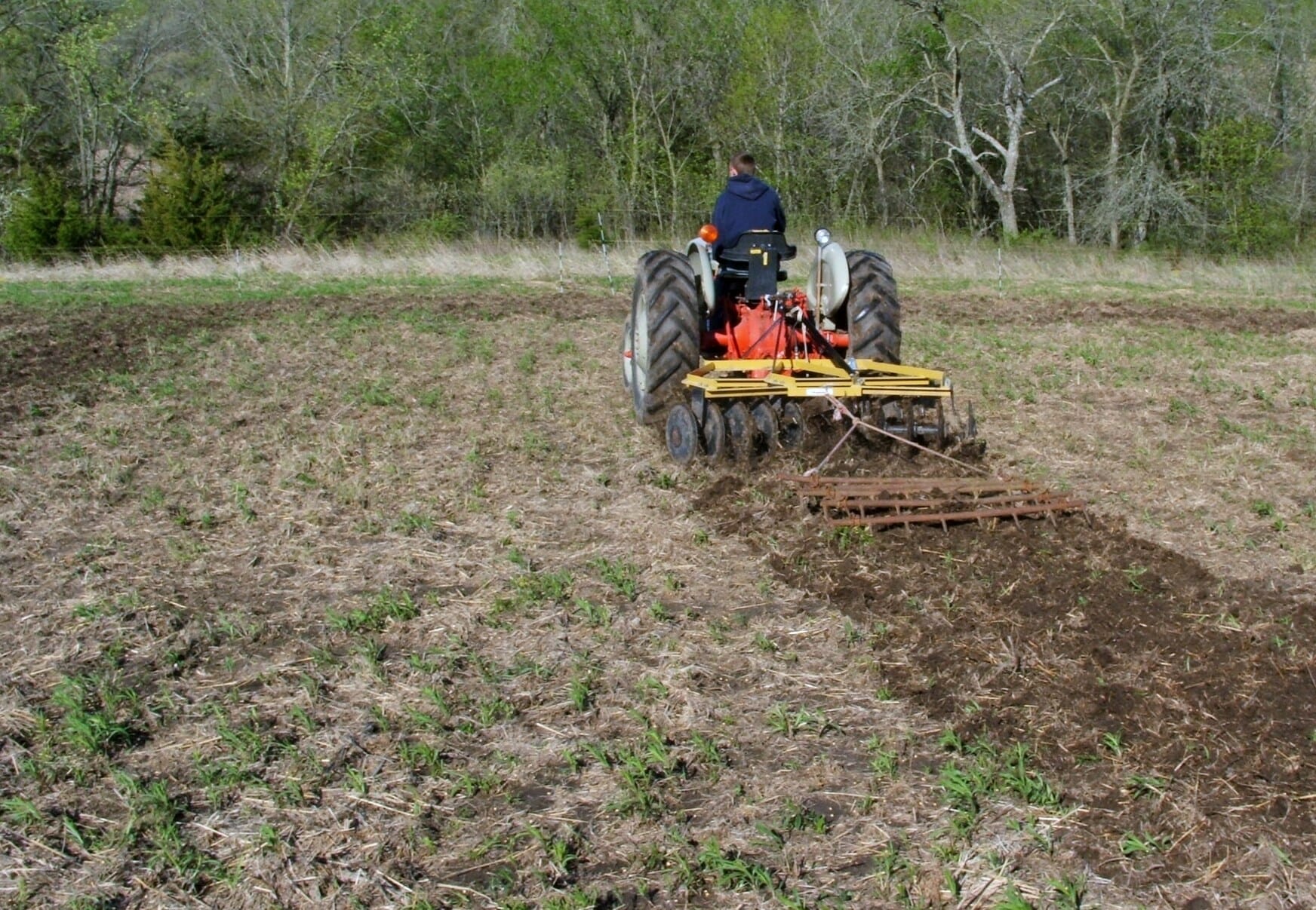 10 Best Fertilizer For Corn Food Plots In 2023 The Wrench Finder