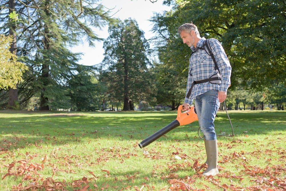 leaf blower for pine needles 1