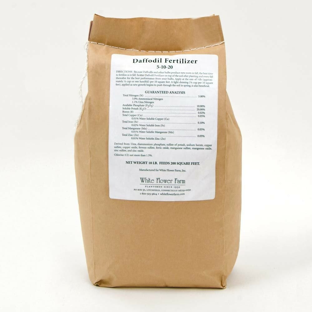 10 Best Fertilizer For Daffodils In 2023 The Wrench Finder