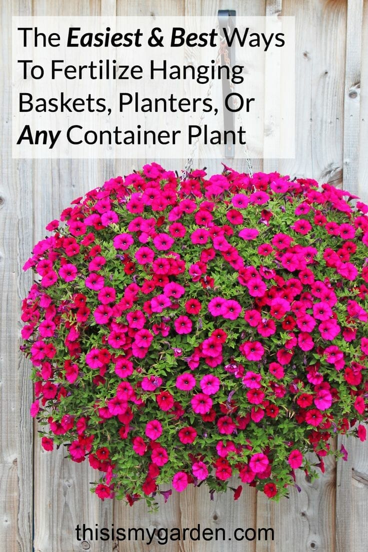 10 Best Fertilizer For Hanging Baskets In 2023 The Wrench Finder