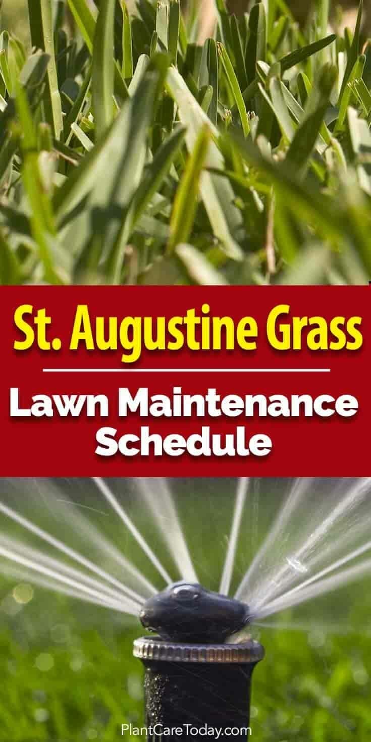lawn fertilizer for south florida 1