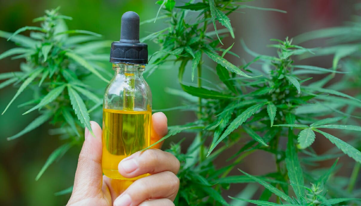 neem oil for weed plants 1