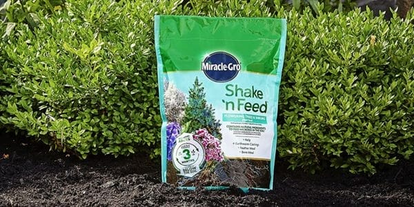 fertilizer for lilac plants 1