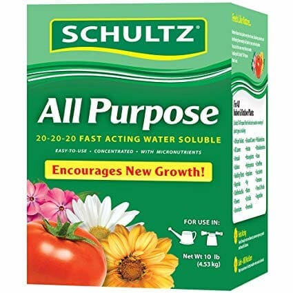 fertilizer for philodendron 2